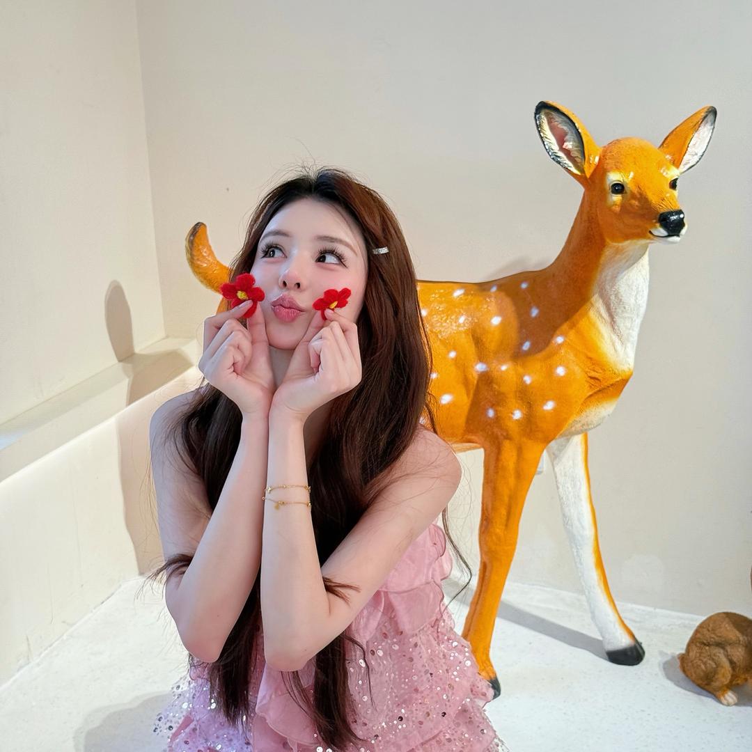 momo🧸