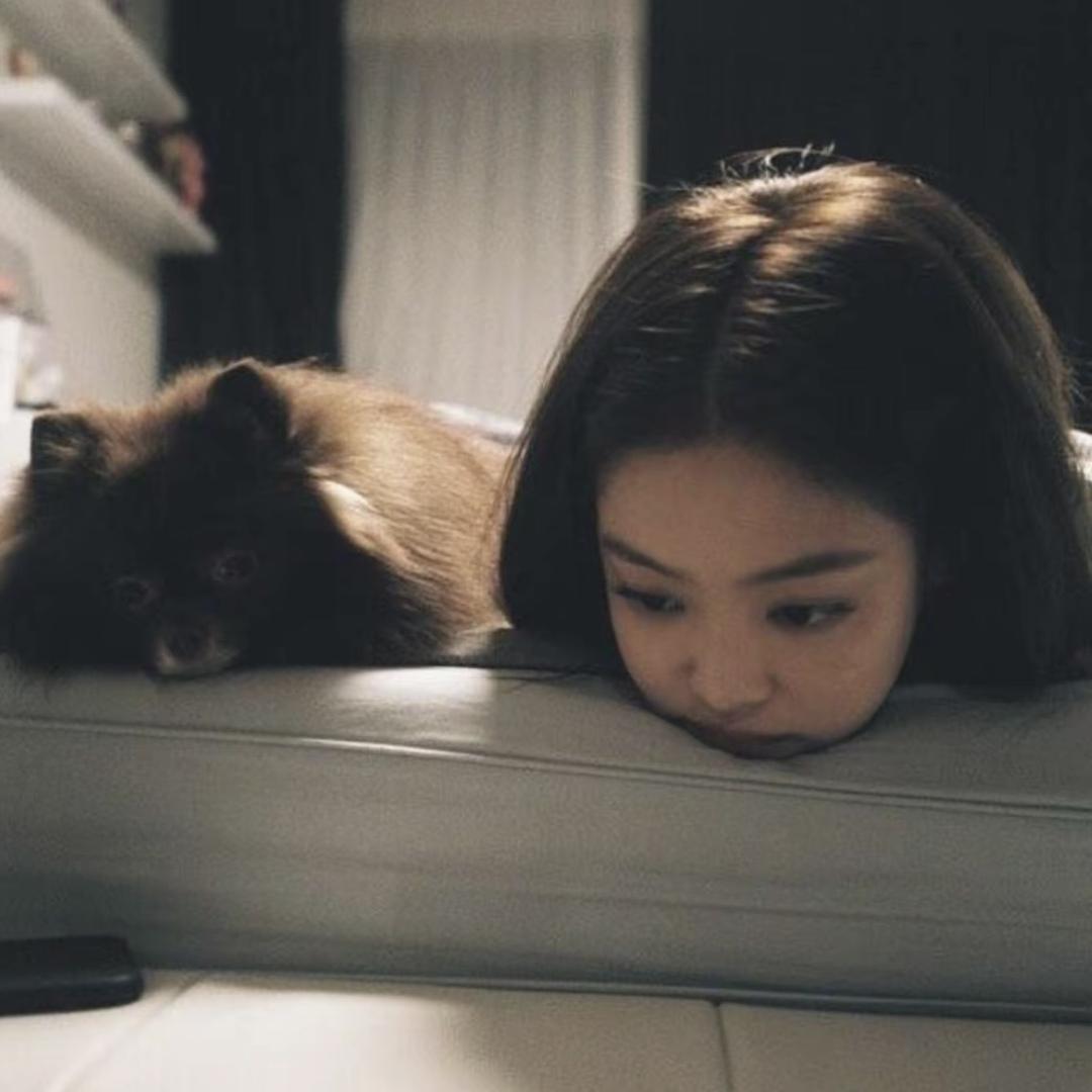 多次拒绝彭于晏