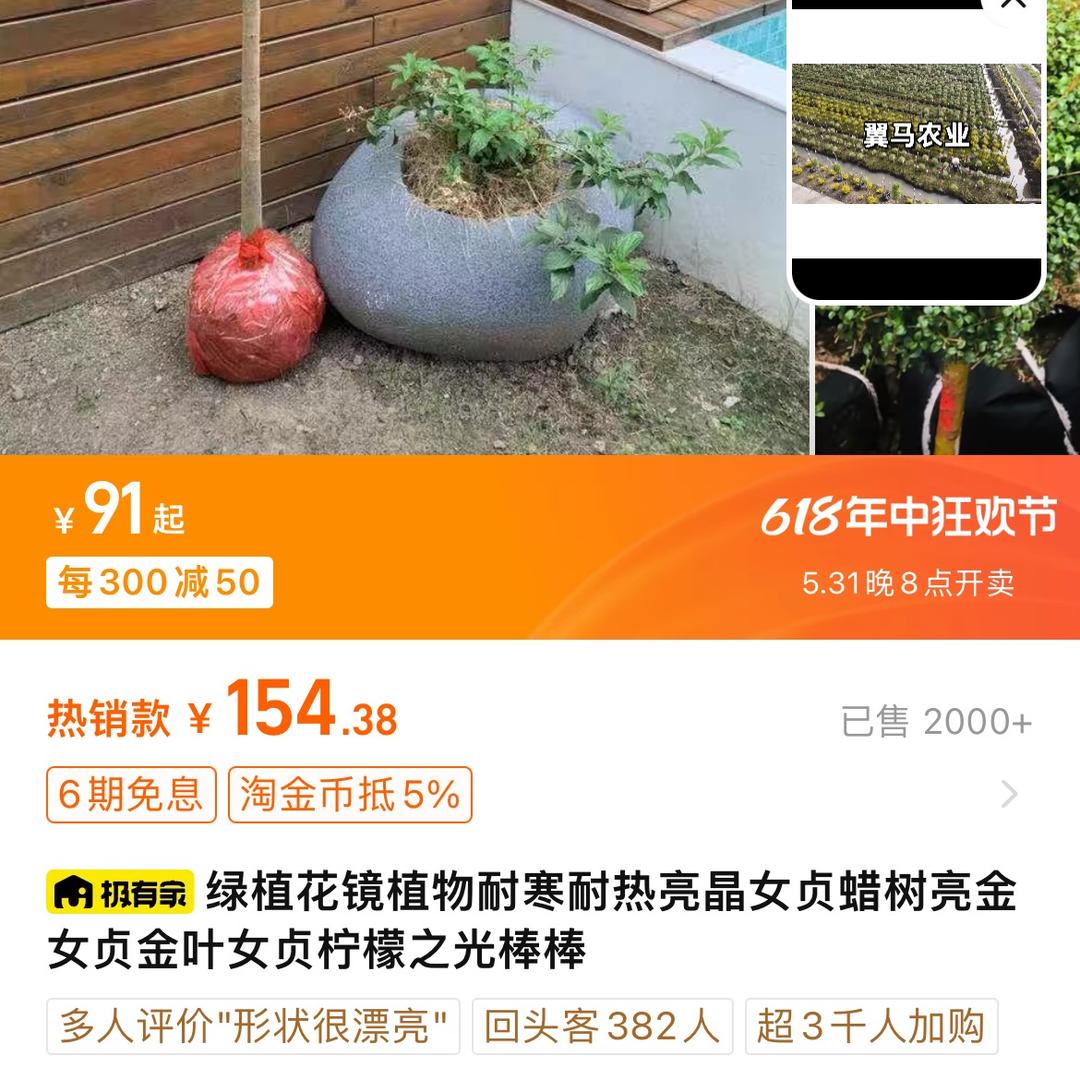 翼马
