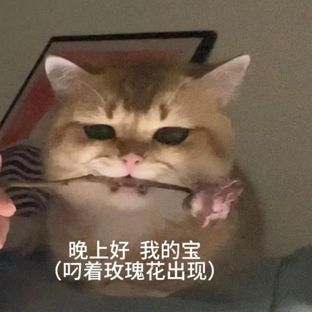 贪吃的猪鼻蛇