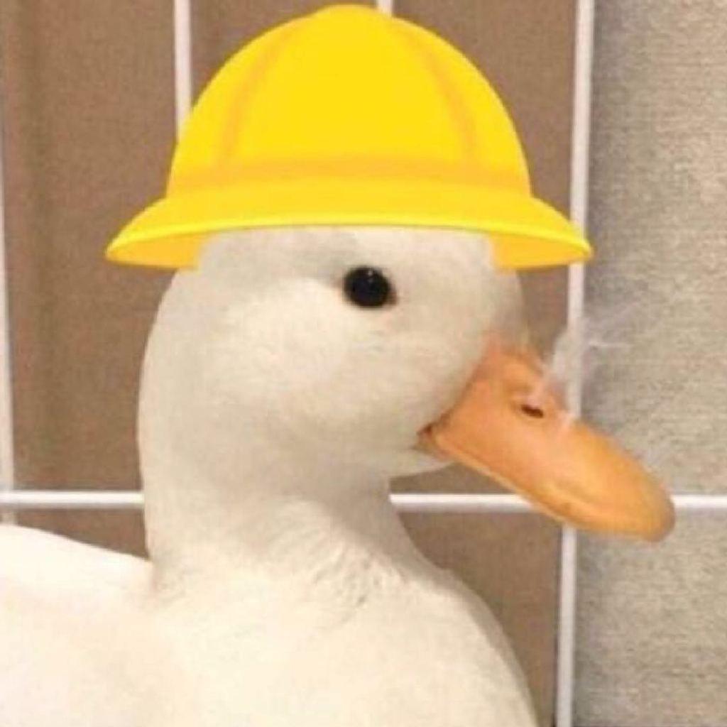 左珂