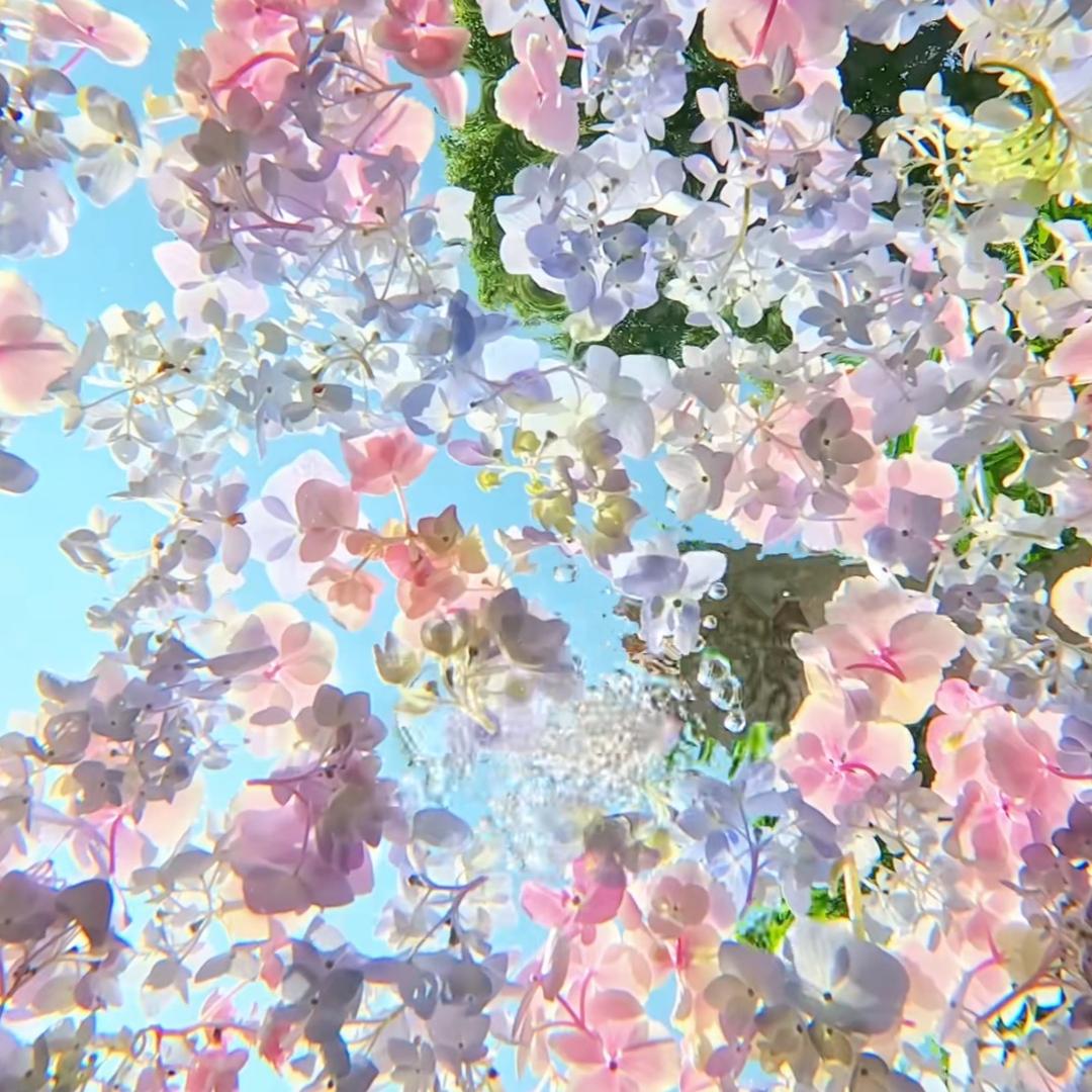 风浅