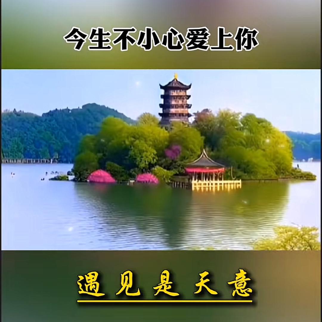 缘遇天意…
