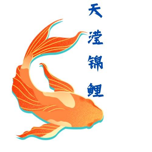 天滢锦鲤