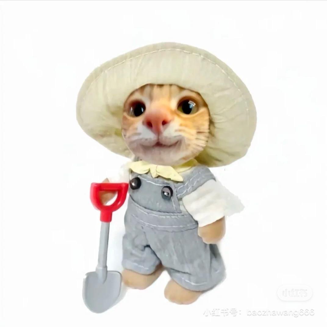 纯情少男猪刚鬣