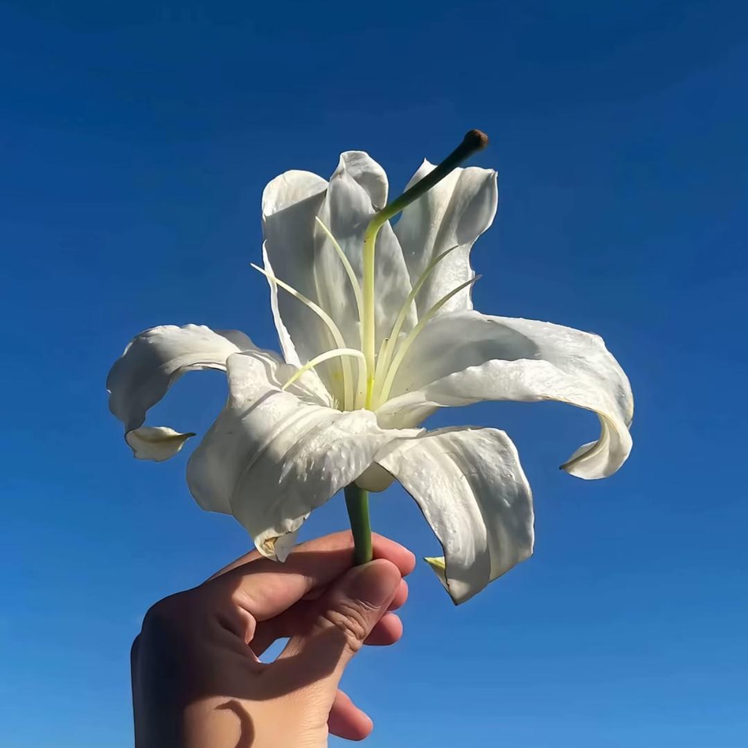 𝓼𝓮𝓪𝓼𝓮𝓪