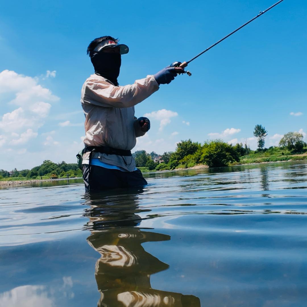 小树🎣