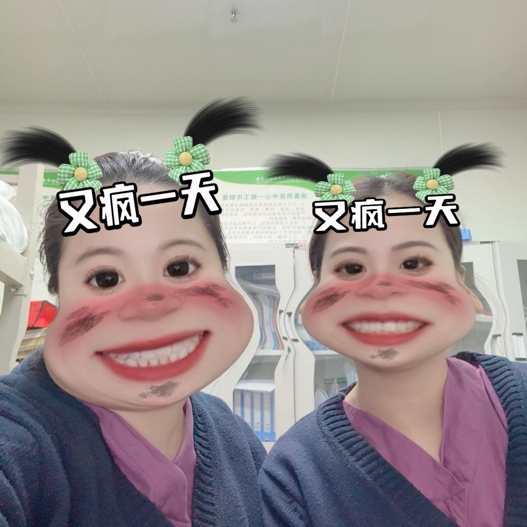 大刘小陈（发疯版）