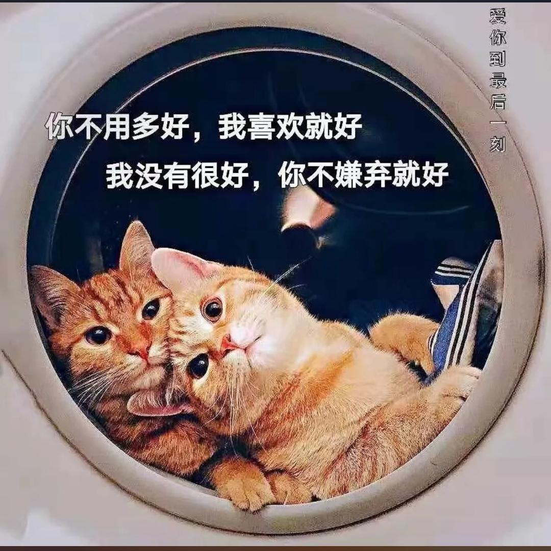 陈、、、