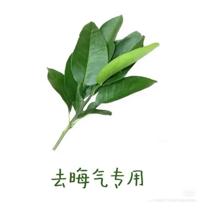 伤心女人涅槃重生