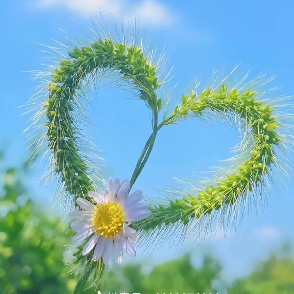 水银体温计工厂店