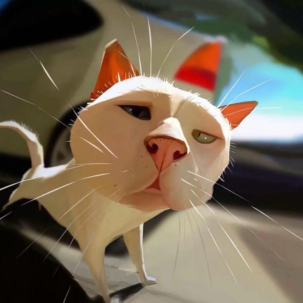 我睡觉的时候不困🥶