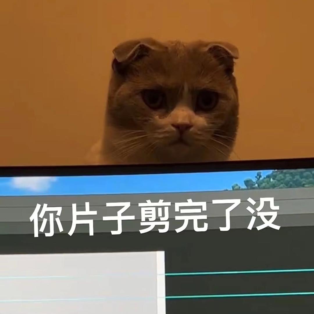 阿超仔咯z