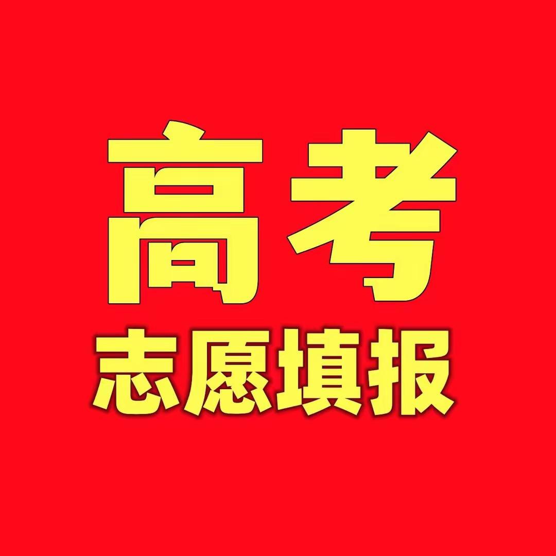 高考规划