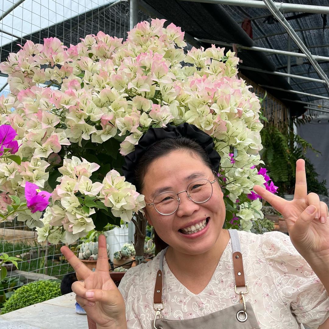 荣荣农村小院