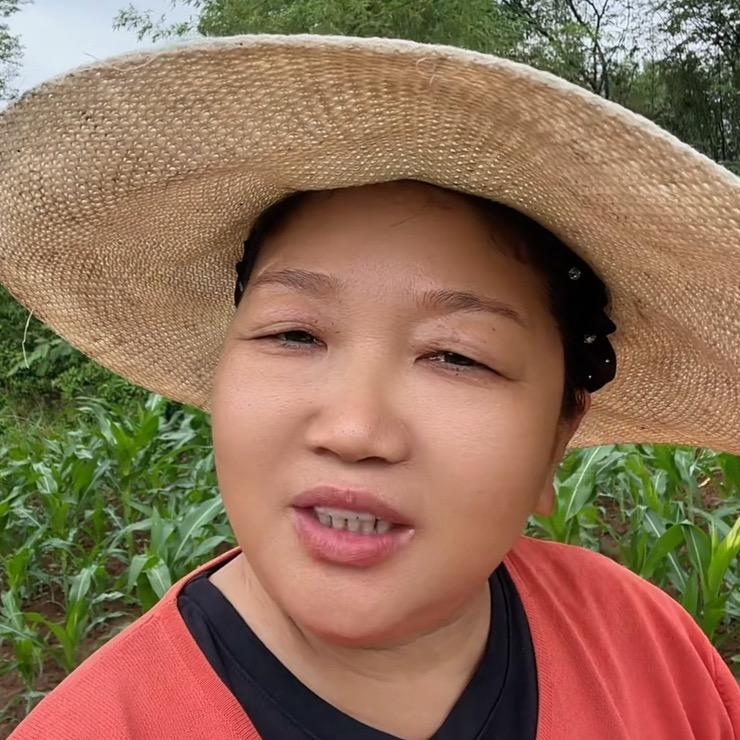 吟风吖小菜园