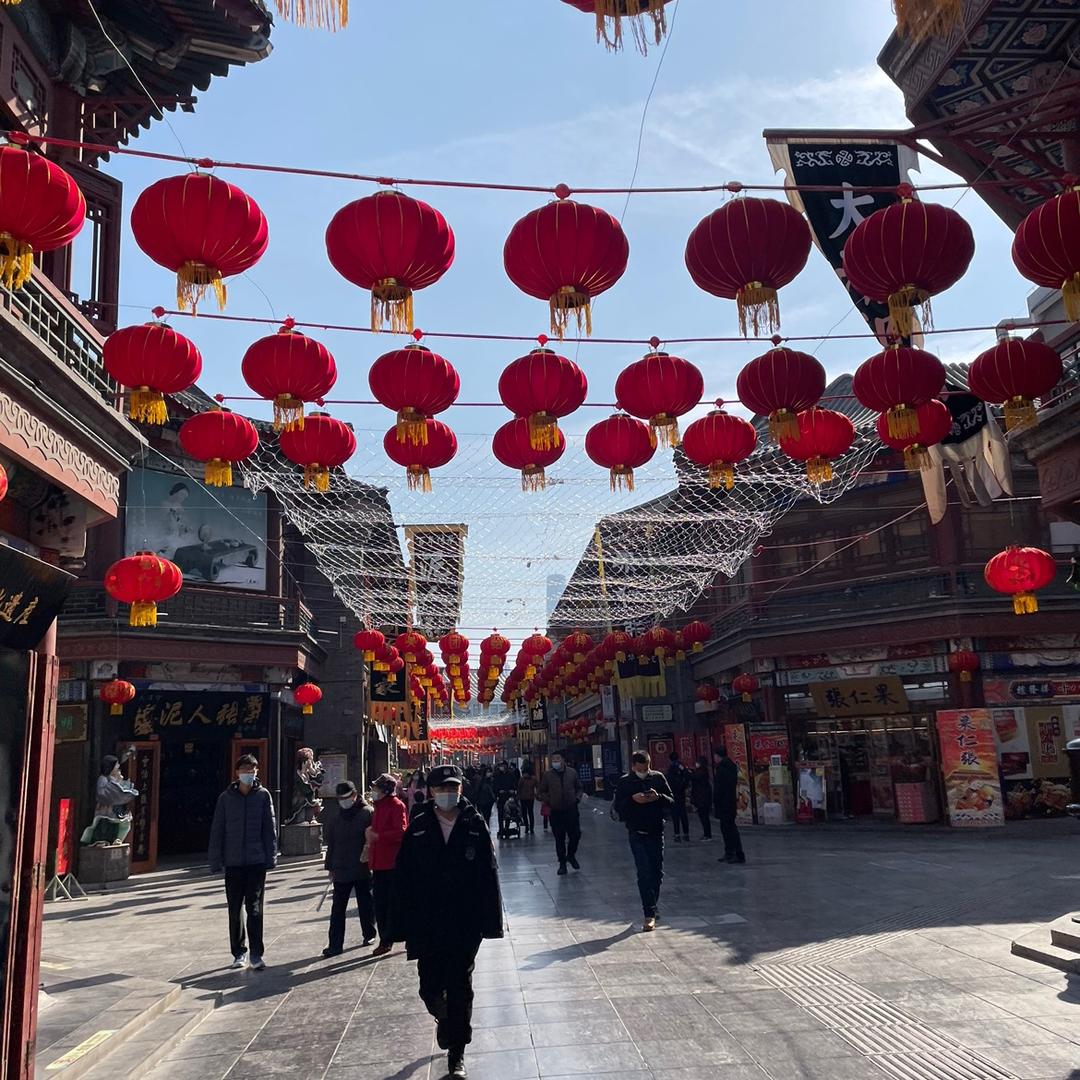 喜欢黄毛榕的苏廊头像