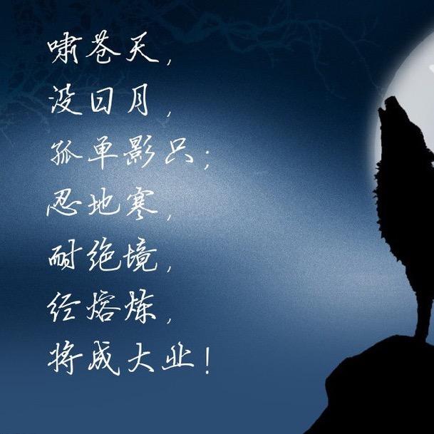小哥玩三国