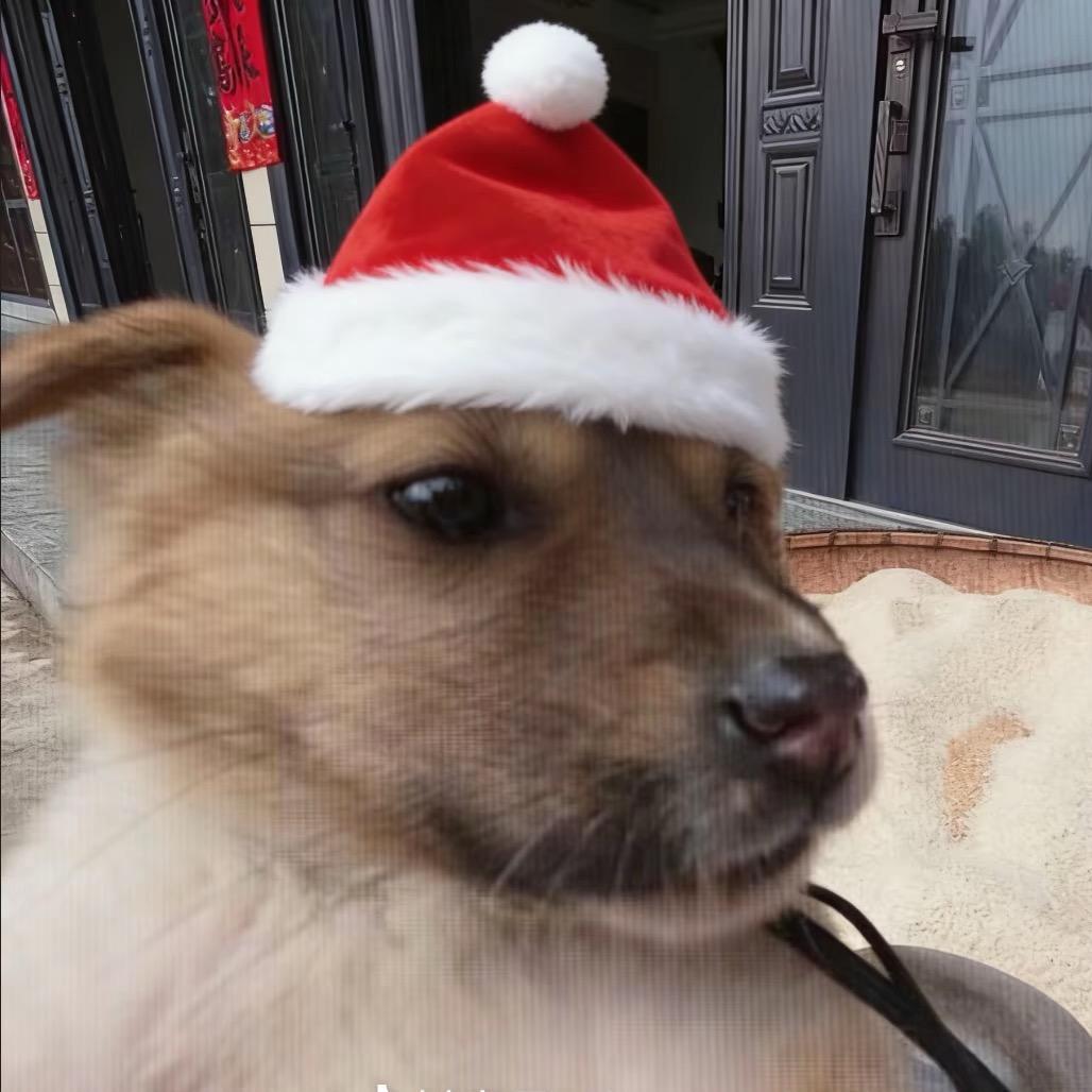 你要吃冰糖烤🍐吗