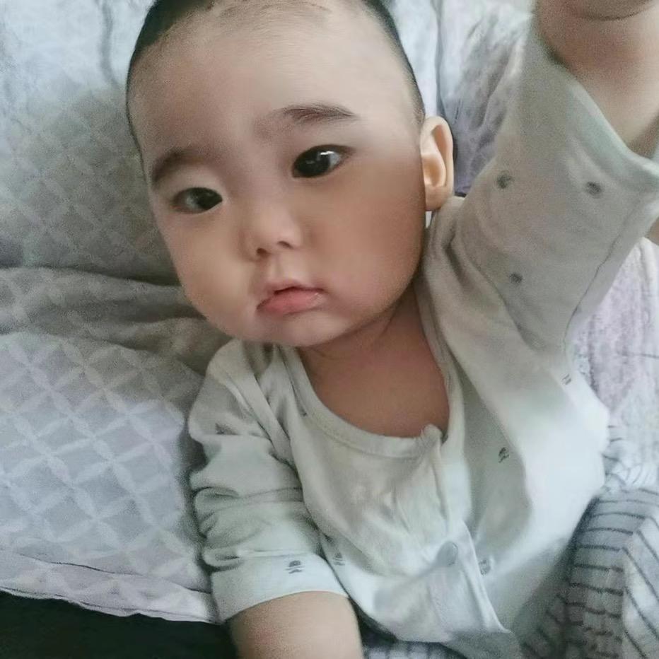 小龙321