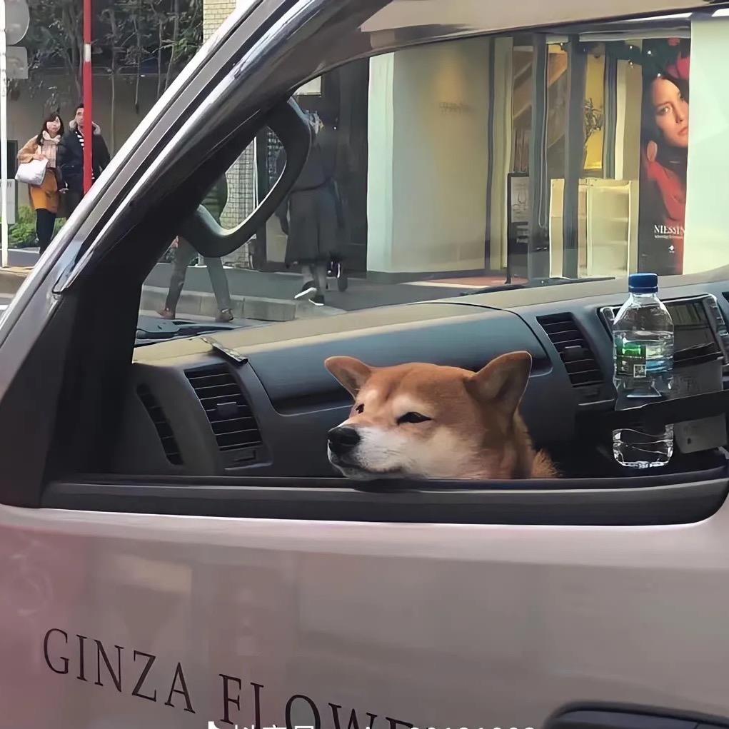 郯城ABT汽车微修