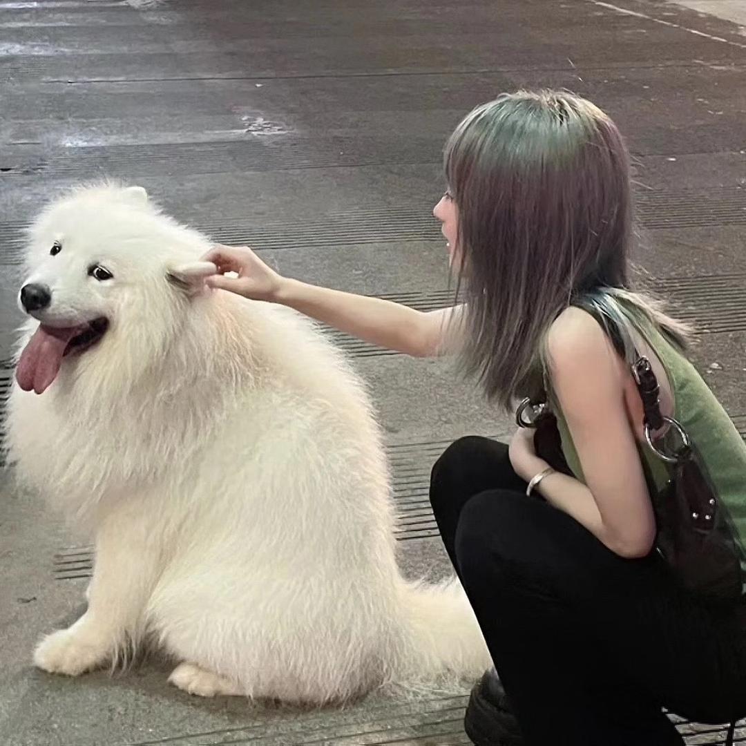 呼呼～