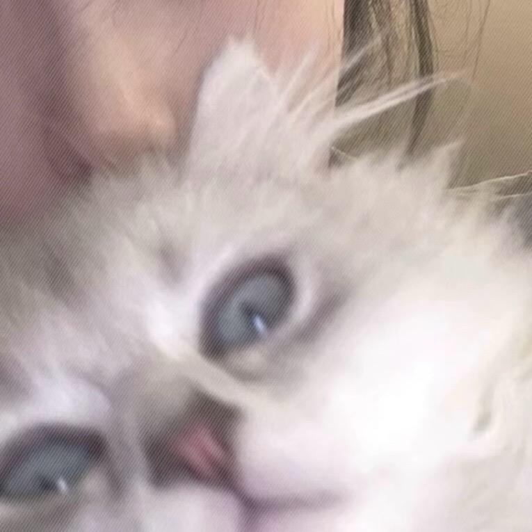 ^𝙯ᙆ.