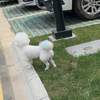 慧慧呀（首播）