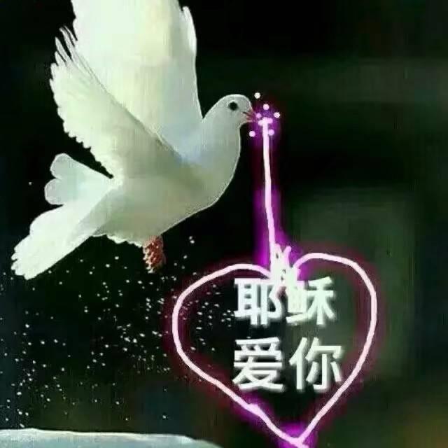 手机用户63362125189