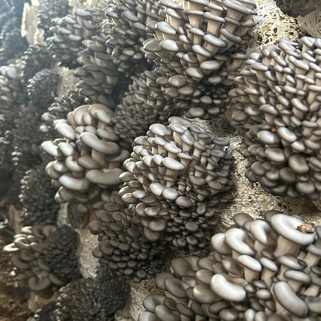下一站～辛福