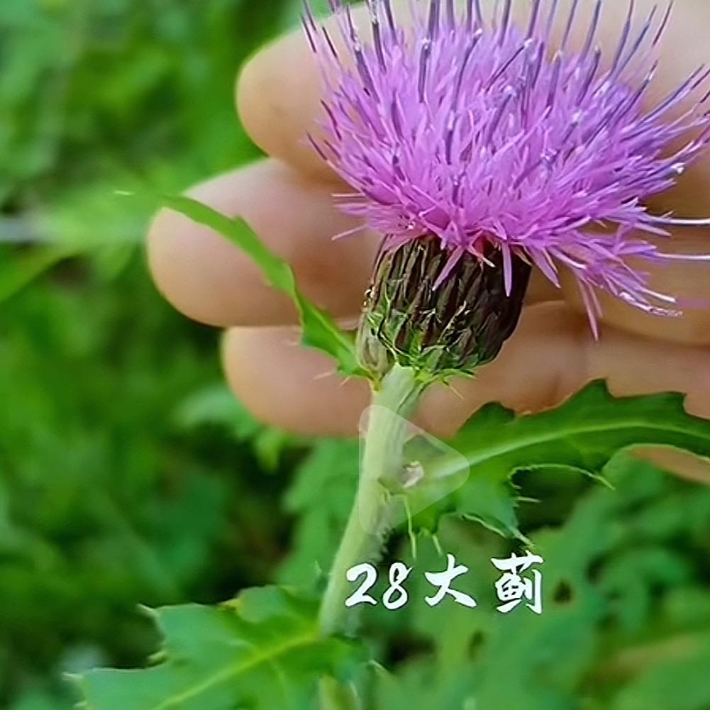善薇百货