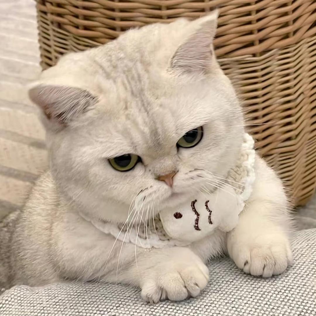 橙
