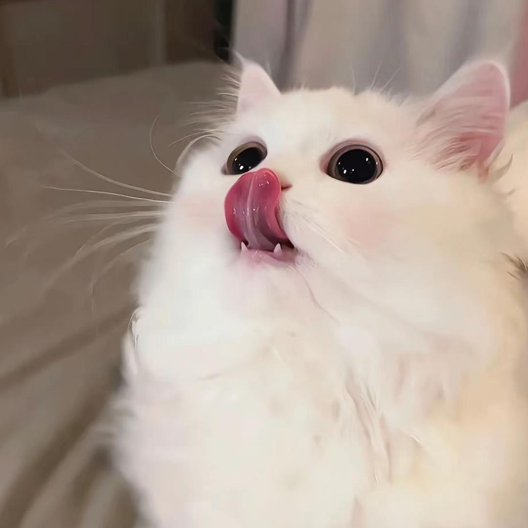 pupu