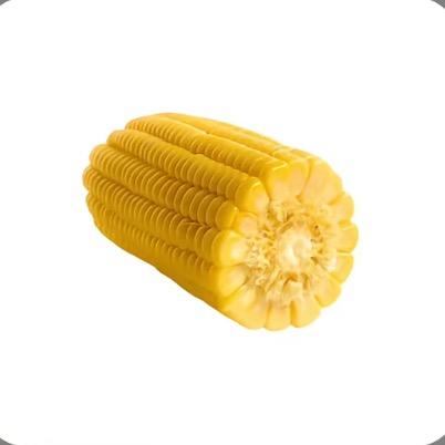 🌽🌽