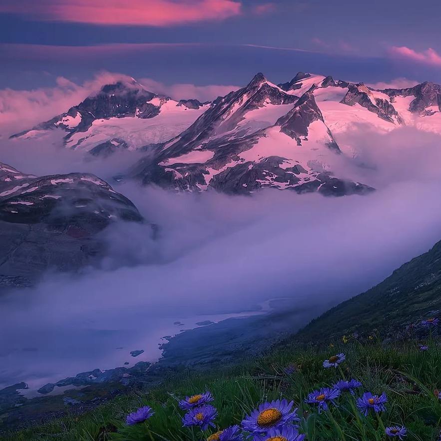 今天晚上去你家