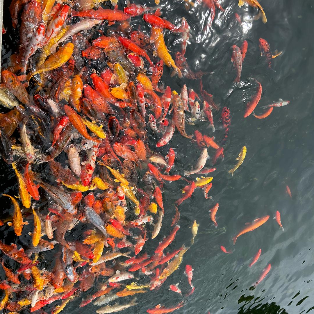 潮汐守望者～汐望