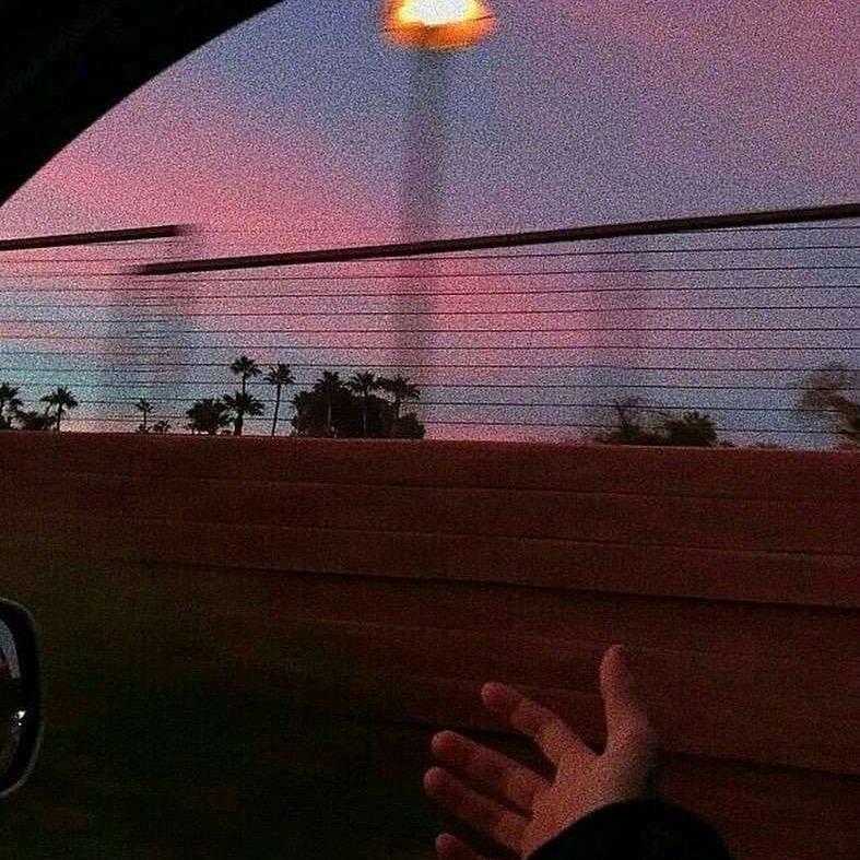 温肆