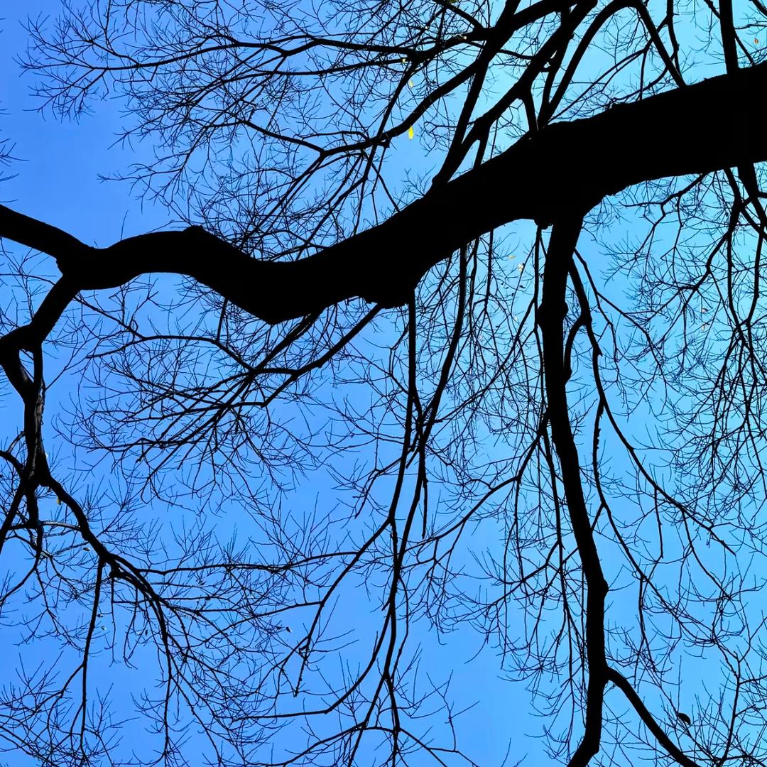 ‍‍‍‍‍爱吃薯条