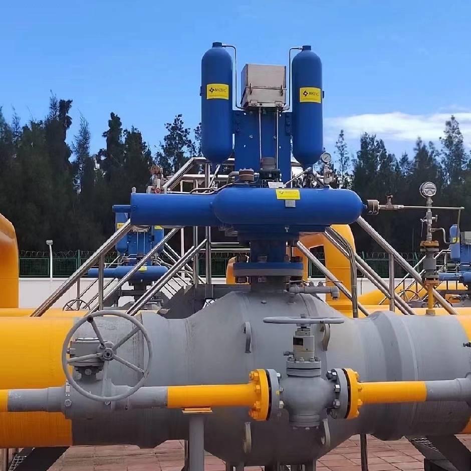 温州臻化阀业有限公司