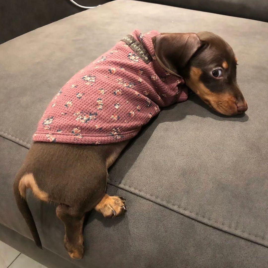 lulu～