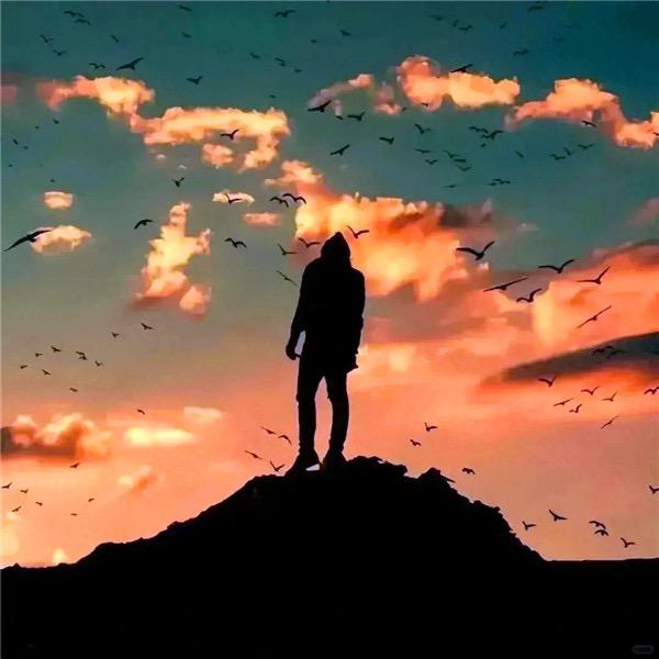 @金皖西-李经理