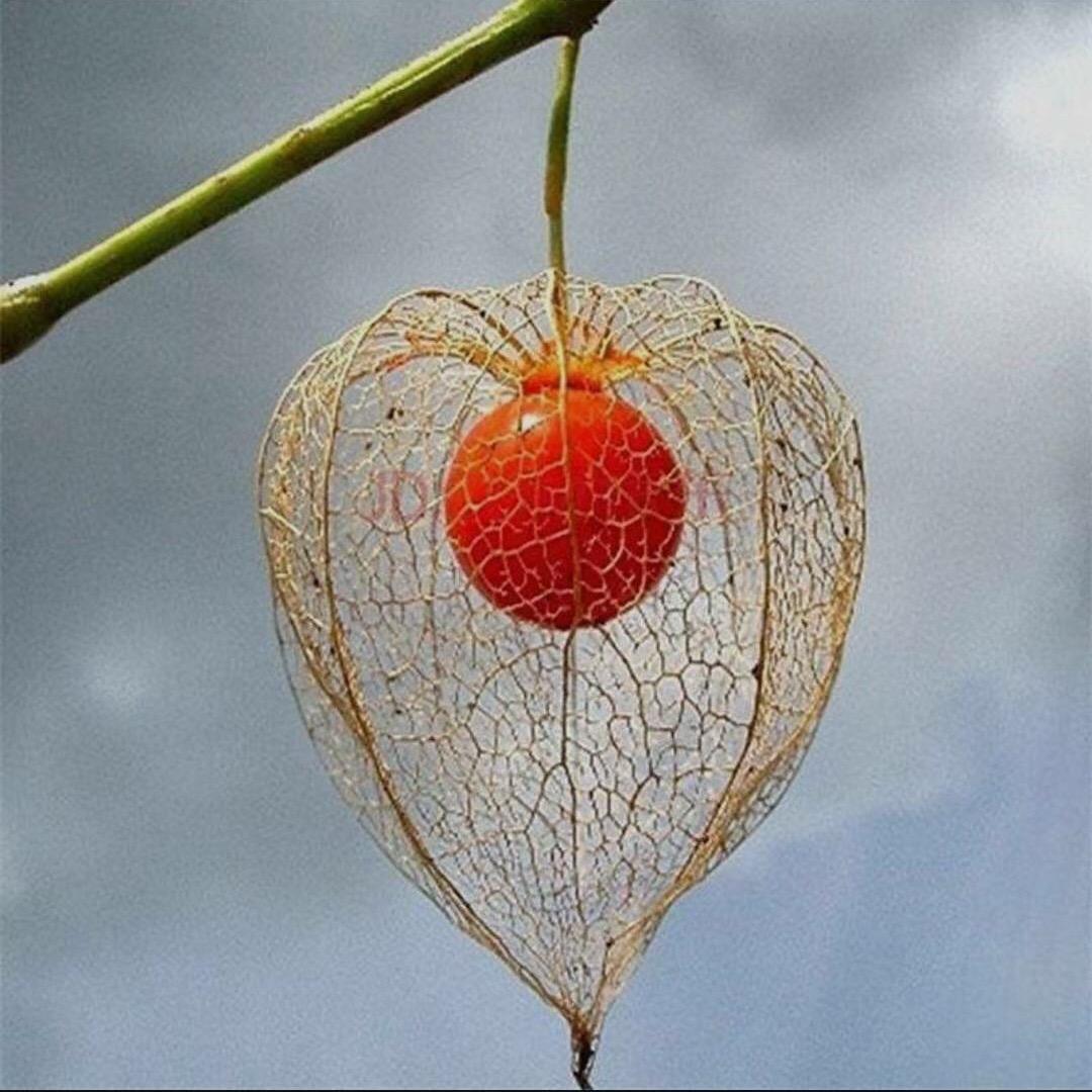 益加益好物