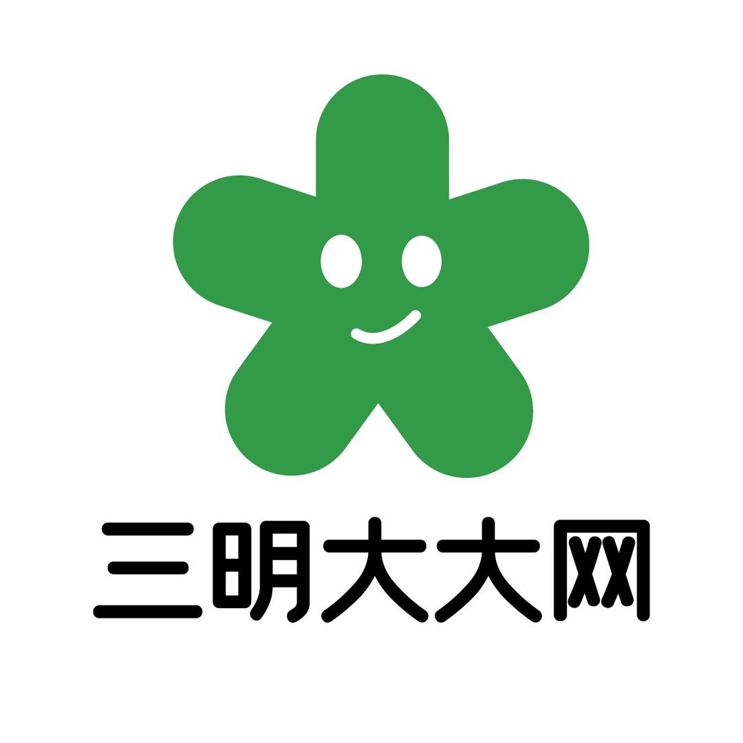 三明大大网络