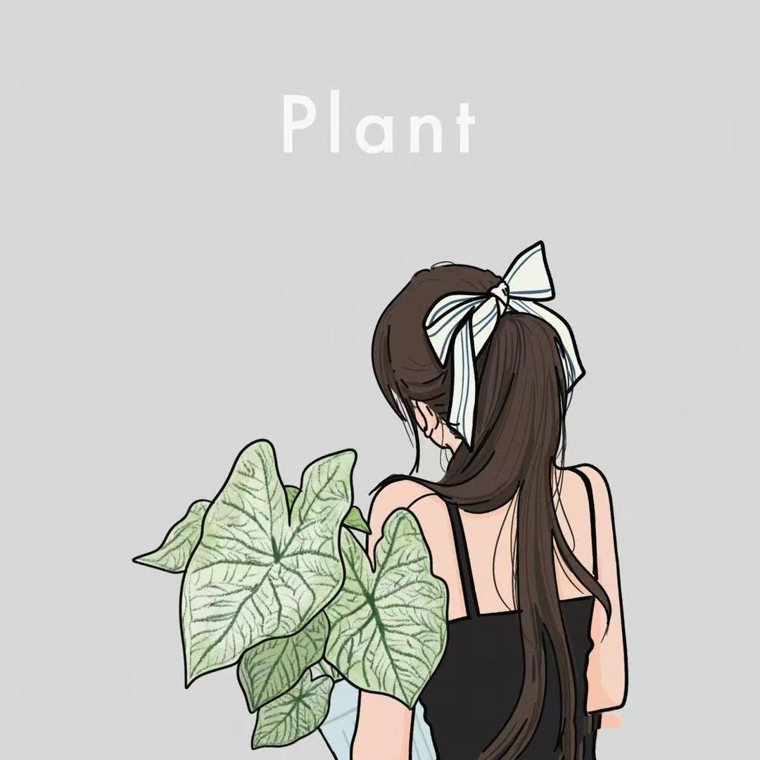 花不晚绿植园
