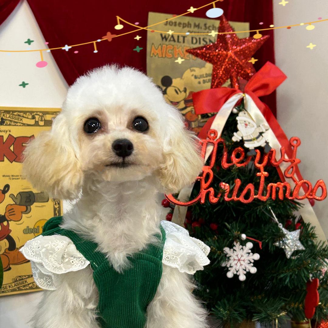 禧它宠物生活馆