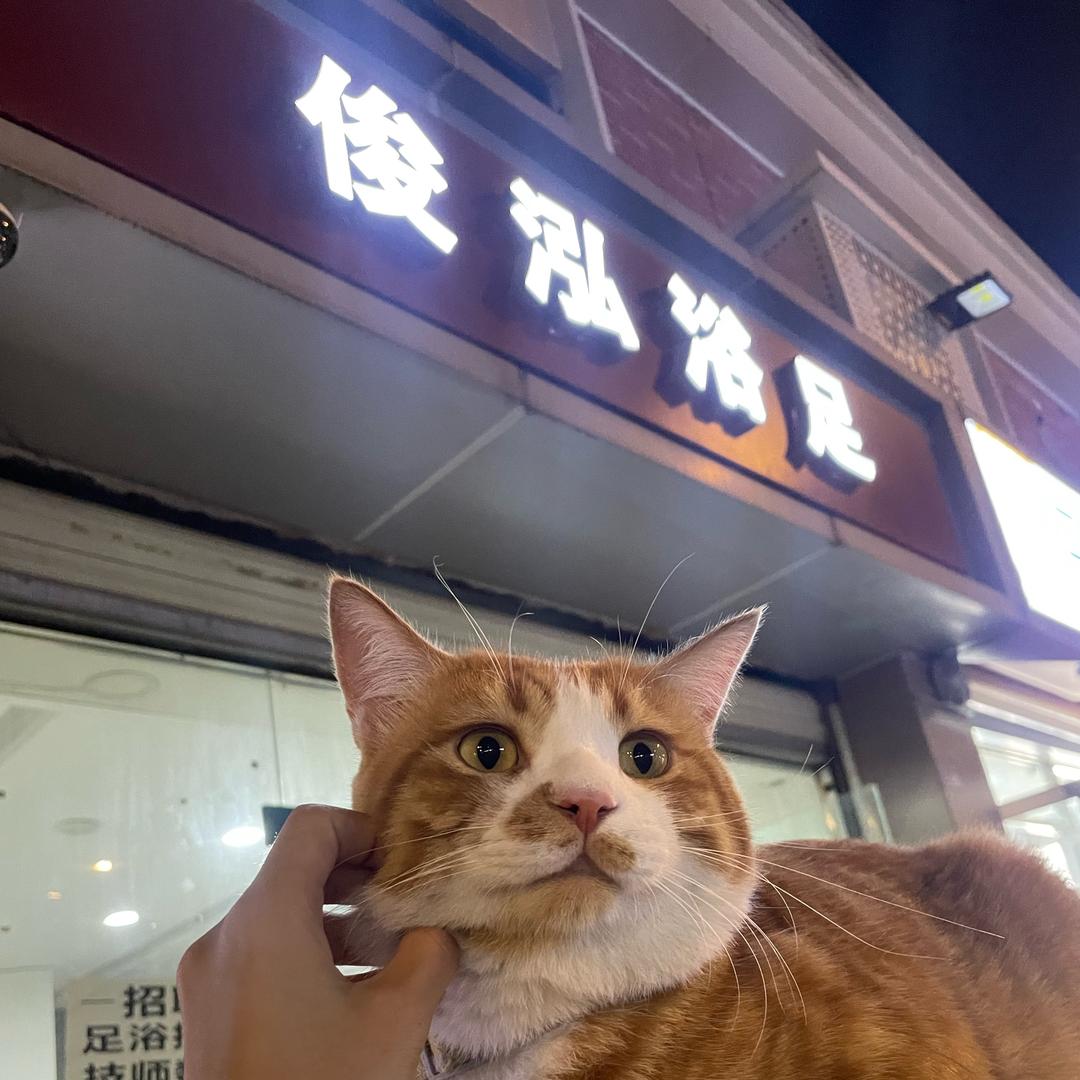 十陵那个俊泓浴足