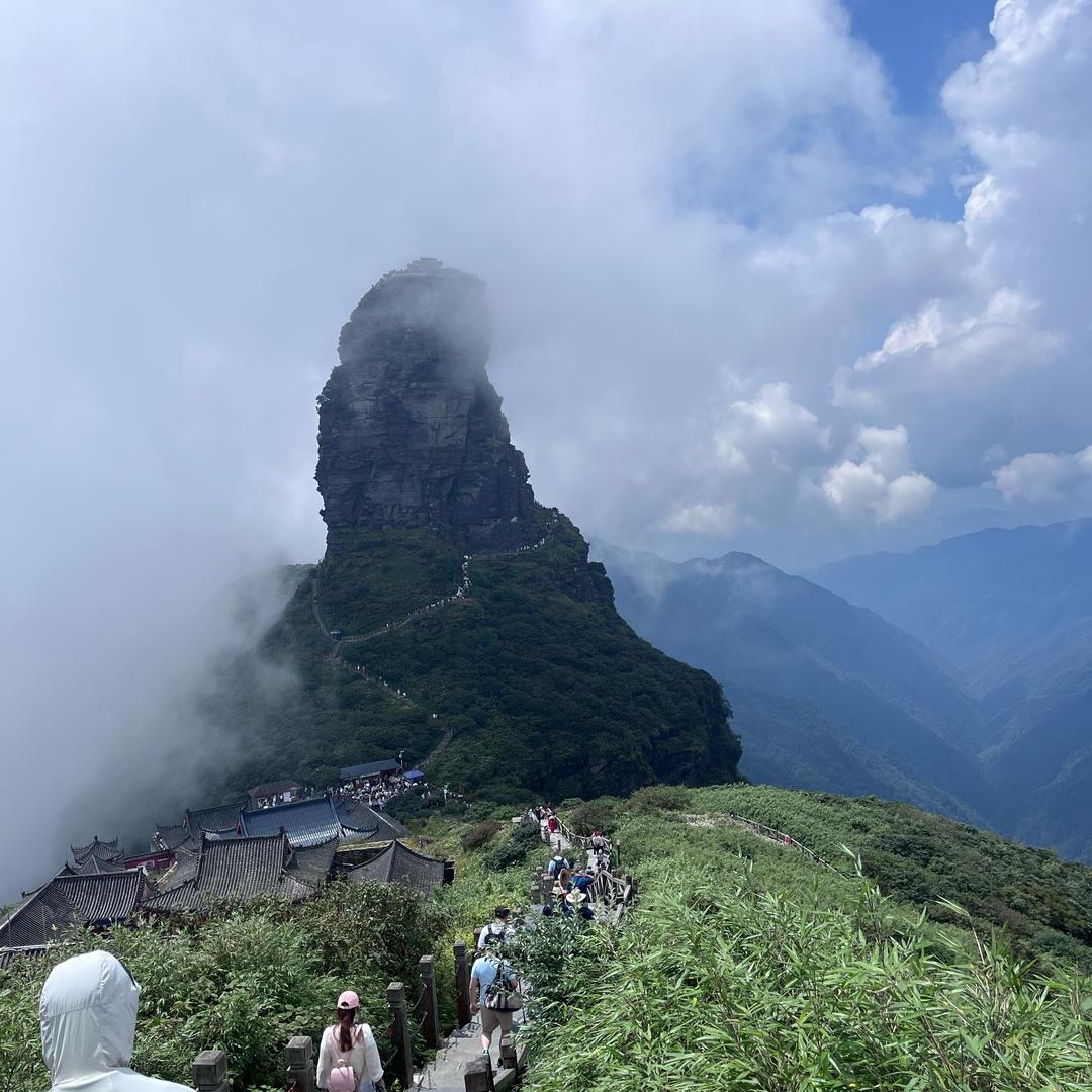 大展身手