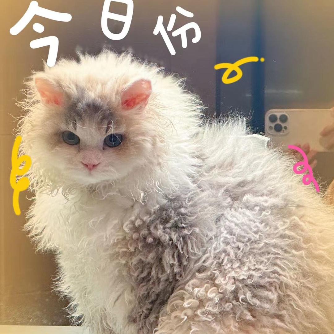 希望，希望我所希望有希望
