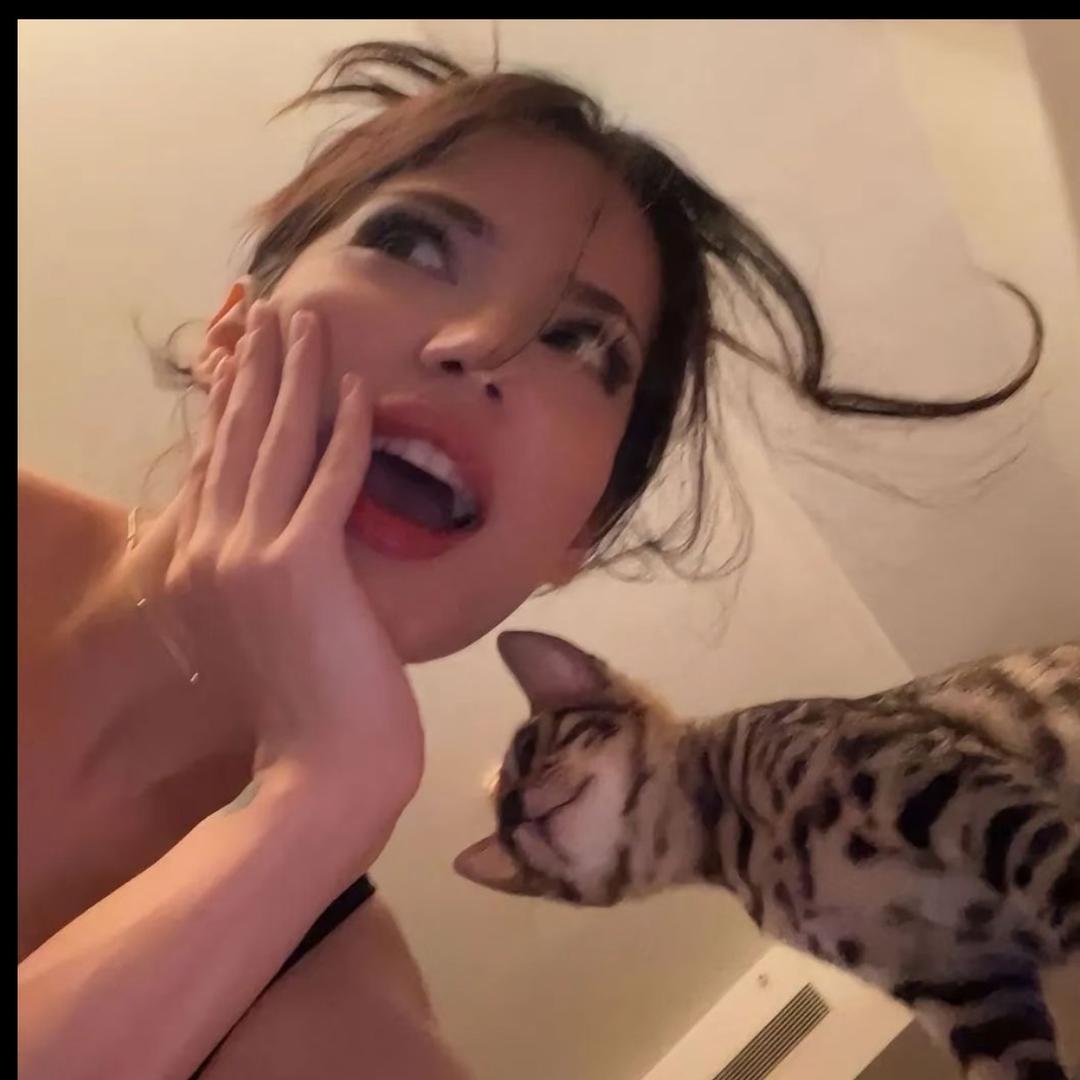 楚楚来了