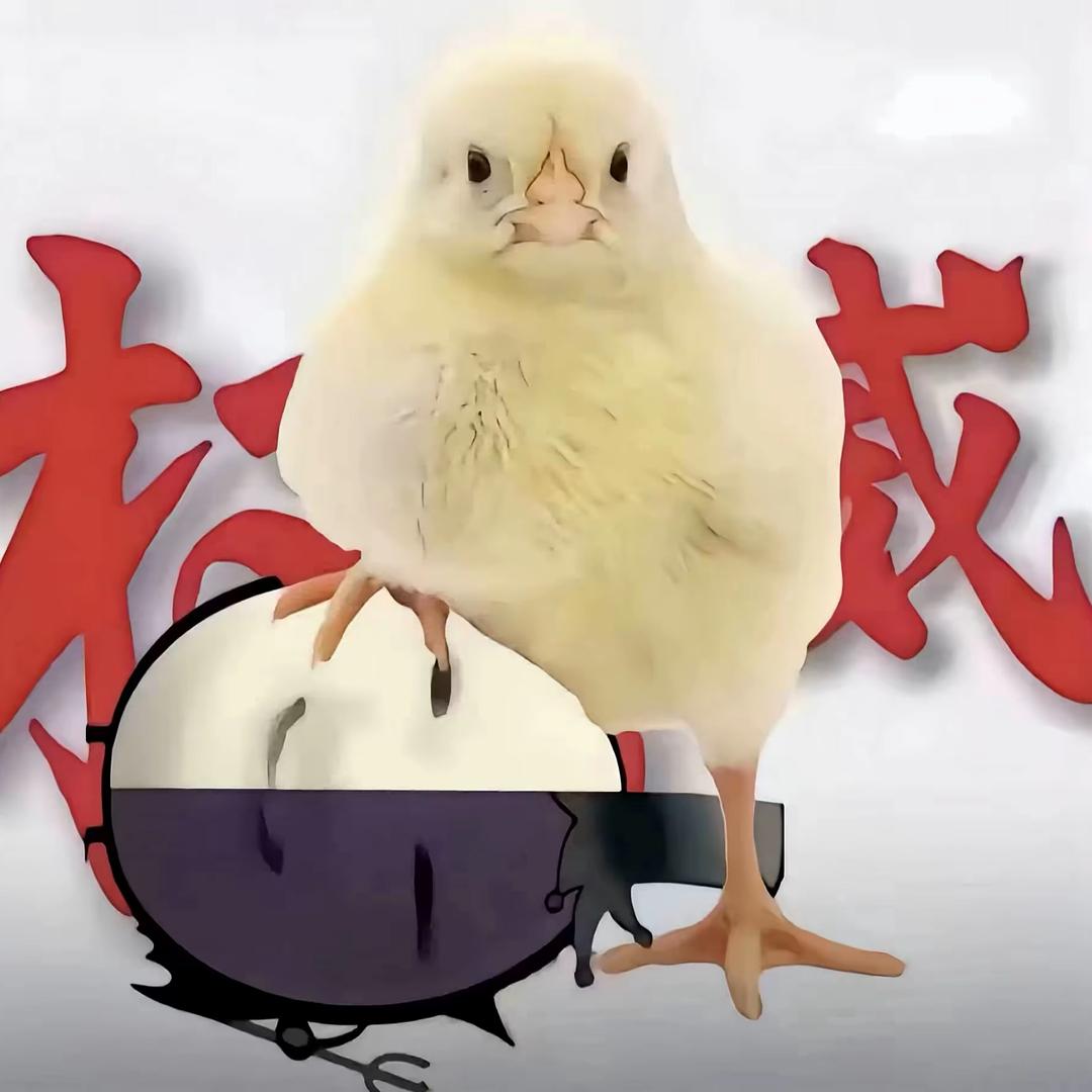 这一克